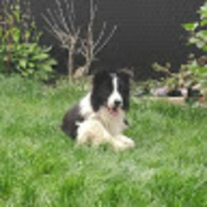 Meet your Posher, Liana